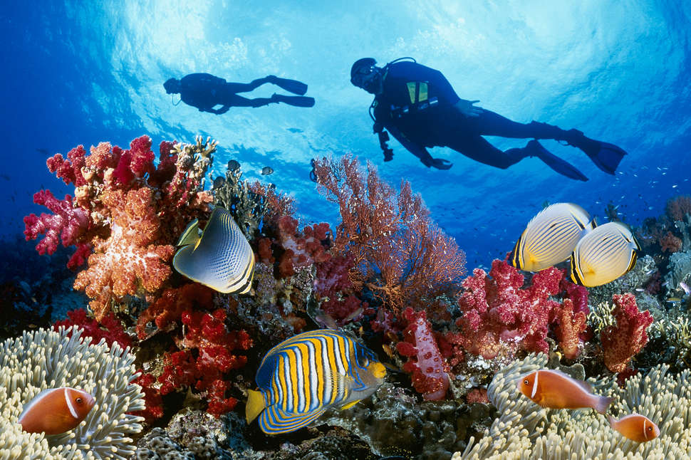 Asthma and scuba diving: Is it safe?